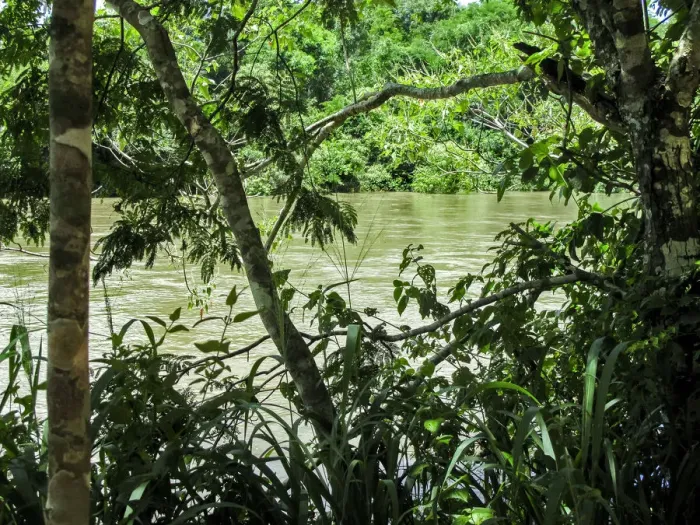 Framed Print : River seen through the lush vegetation, Argentina Framed Print : River seen through the lush vegetation, Argentina