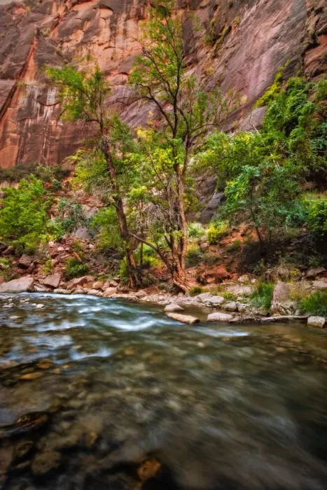 Framed Print : River Walk Zion National Park Virgin River Framed Print : River Walk Zion National Park Virgin River