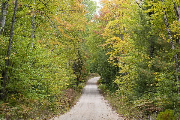 Road through autumn forest, Hiawatha National Forest, Upper Peninsula, Michigan, USA