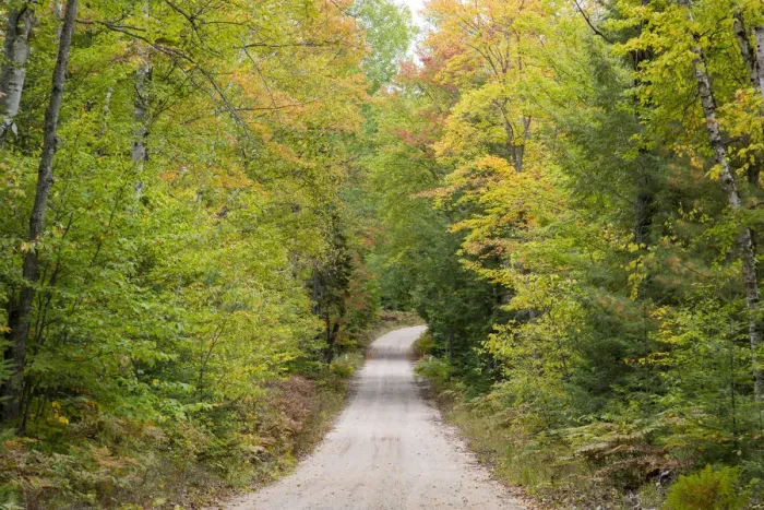 Framed Print : Road through autumn forest, Hiawatha National Forest, Upper Peninsula, Michigan, USA Framed Print : Road through autumn forest, Hiawatha National Forest, Upper Peninsula, Michigan, USA