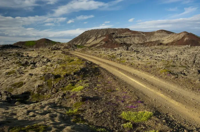Framed Print : Road through the Berserkjahraun lava field, Snaefellsnes peninsula, Snaefellsnes, Iceland, Europe Framed Print : Road through the Berserkjahraun lava field, Snaefellsnes peninsula, Snaefellsnes, Iceland, Europe