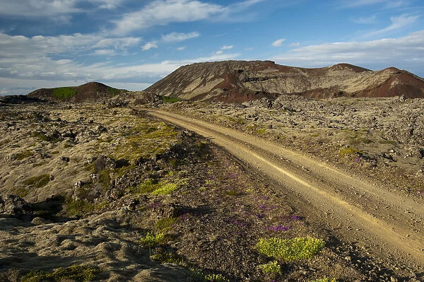 Road through the Berserkjahraun lava field, Snaefellsnes peninsula, Snaefellsnes, Iceland, Europe
