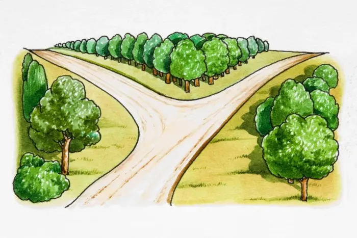 Framed Print : Road forking Framed Print : Road forking