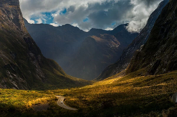 A road to Milford sound with morning light