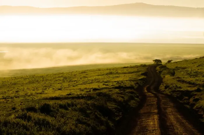Framed Print : Road Through the Ngorongoro Crater Framed Print : Road Through the Ngorongoro Crater