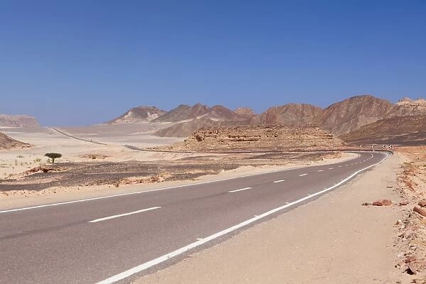 Road in the Sinai desert, Egypt, Africa
