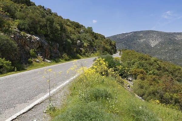 Road to Termessos, Taurus Mountains, Termessos, Antalya Province, Turkey