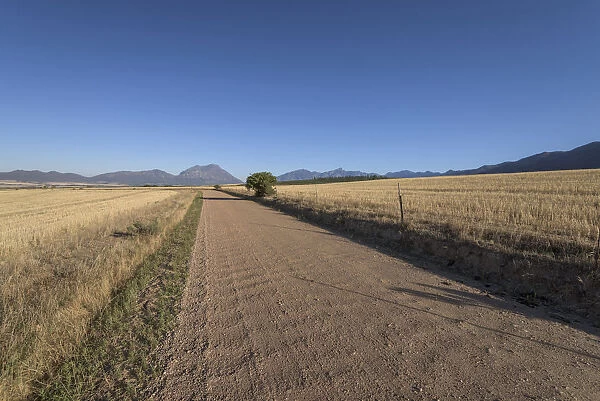 Road, Tulbagh, Western Cape, South Africa, Day, Morning, Horizontal, No People, Colour image
