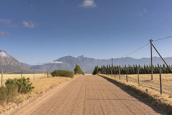 Road, Tulbagh, Western Cape, South Africa, Day, Horizontal, No People, Colour image