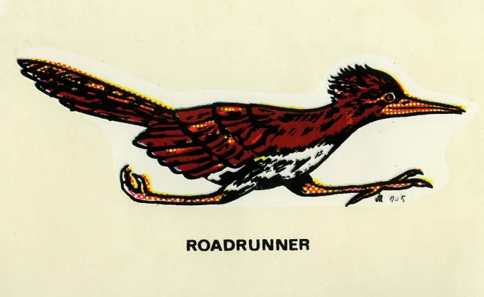 Framed Print : Roadrunner Framed Print : Roadrunner