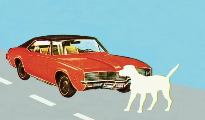 Framed Print : Roadster with crossing dog Framed Print : Roadster with crossing dog