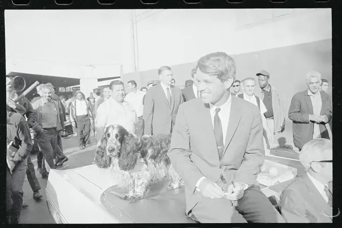 Framed Print : Robert F. Kennedy Sitting Next to Dog Framed Print : Robert F. Kennedy Sitting Next to Dog
