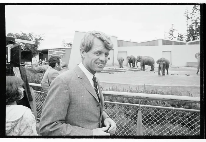 Framed Print : Robert F. Kennedy Standing at Fence Near Elephants Framed Print : Robert F. Kennedy Standing at Fence Near Elephants