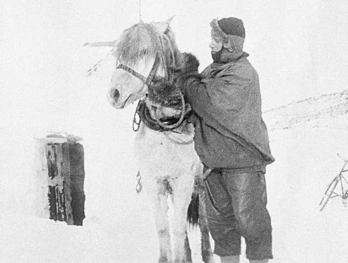 Framed Print : Robert Falcon Scott Preparing for Expedition with Animal Framed Print : Robert Falcon Scott Preparing for Expedition with Animal