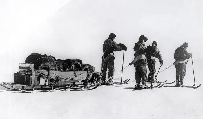 Framed Print : Robert Scott And Co. Draggin Load In Sno Framed Print : Robert Scott And Co. Draggin Load In Sno