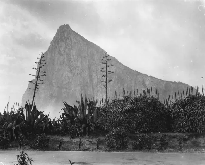 Framed Print : The Rock. 1933: The Rock of Gibraltar, the main landmark of the British Framed Print : The Rock. 1933: The Rock of Gibraltar, the main landmark of the British
