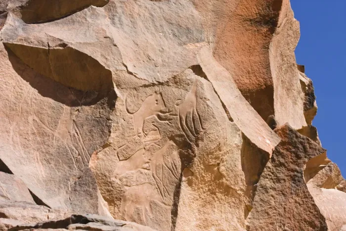 Framed Print : Rock engravings in the Wadi Mathendous, giraffe, Wadi Barjuj, stone desert, Libya, Sahara, North Africa, Africa Framed Print : Rock engravings in the Wadi Mathendous, giraffe, Wadi Barjuj, stone desert, Libya, Sahara, North Africa, Africa