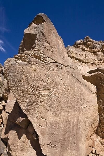 Rock engravings in the Wadi Mathendous, elephant, Wadi Barjuj, stone desert, Libya, Sahara, North Africa, Africa
