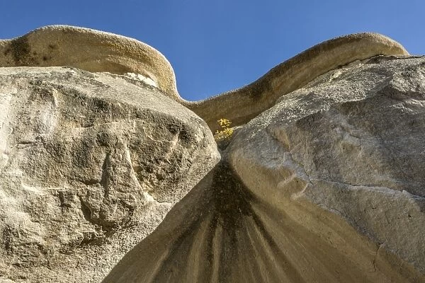 Rock Formation with flowers in Cappadocia, Nevsehir, Turkey