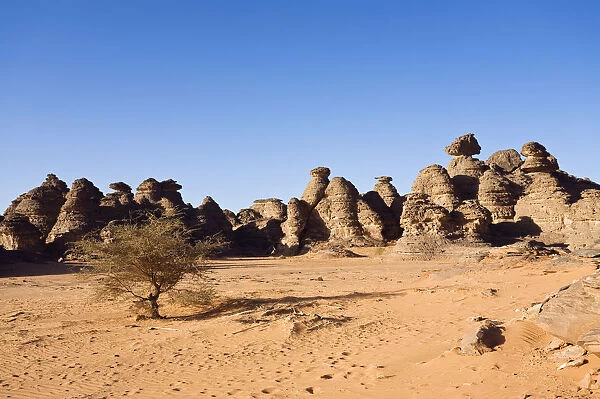 Rock formations in the Libyan Desert, Wadi Awis, Akakus Mountains, Libya, North Africa, Africa