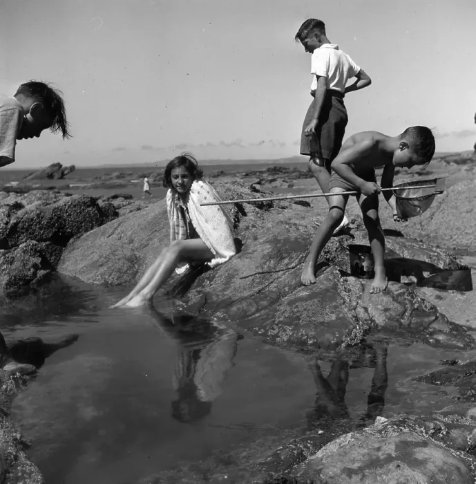 Framed Print : Rock Pool Fun Framed Print : Rock Pool Fun
