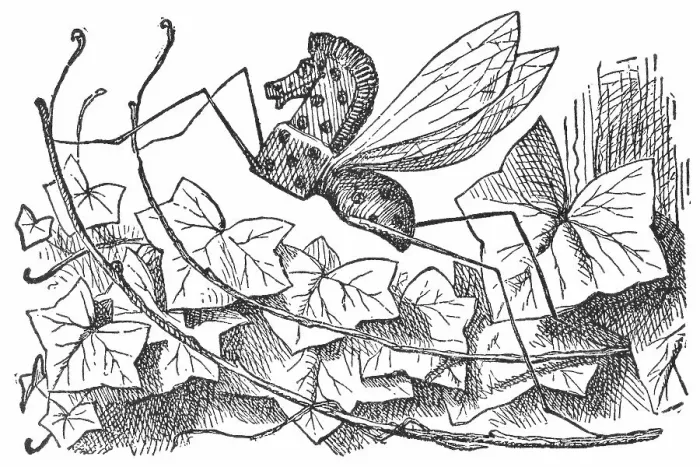 Framed Print : Rocking Horse Fly in Through the Looking-Glass