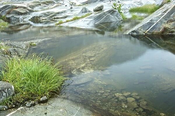 Rocks smoothed by a glacier and filled with rainwater, Nationalpark Hohe Tauern national park, Tyrol, Austria, Europe