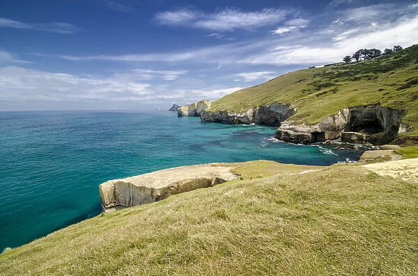 Rocky cliffs of the Pacific coast at Tunnel Beach, Dunedin, Otago Region, South Island, New Zealand