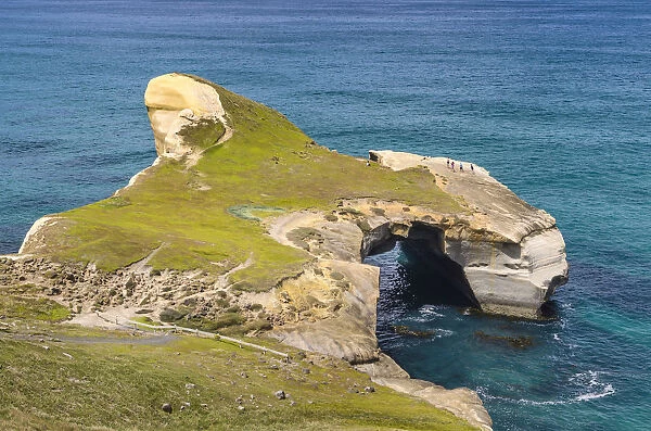 Rocky cliffs on the Pacific coast at Tunnel Beach, Dunedin, Otago Region, South Island, New Zealand