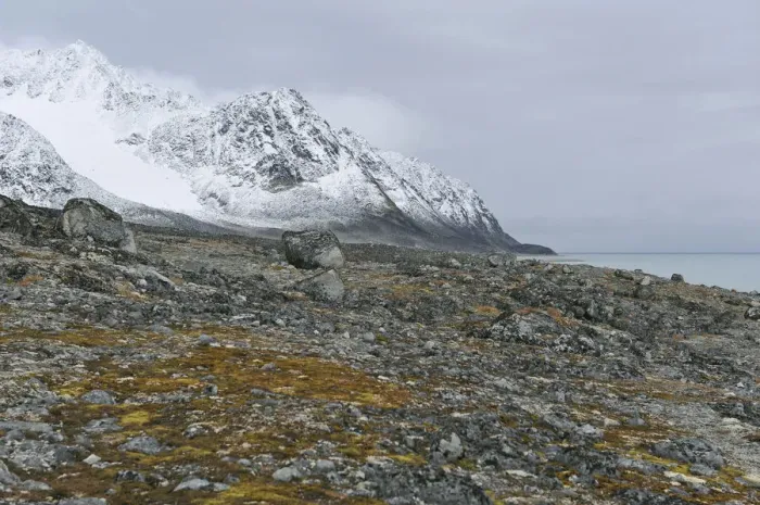 Framed Print : Rocky landscape with moss, Magdalenefjorden, Spitsbergen, Spitsbergen Island, Svalbard Archipelago, Svalbard and Jan Mayen, Norway