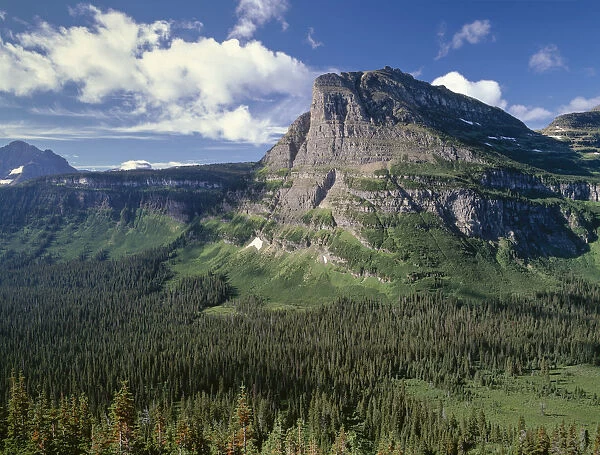 Rocky mountain towering over coniferous forests in valley, Heavy Runner Mountain, Glacier National Park, Montana, USA