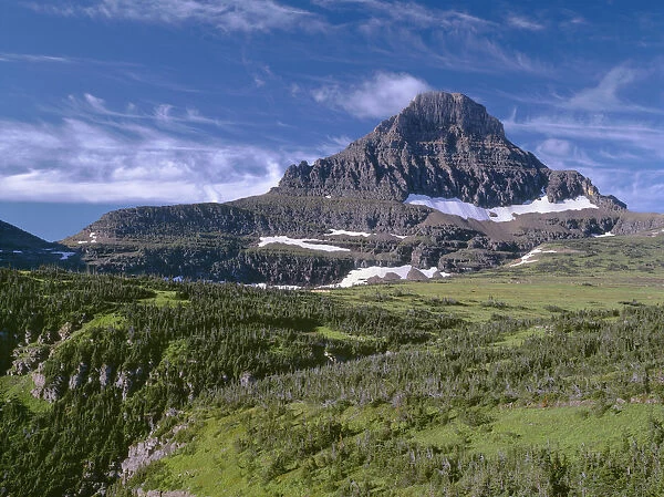 Rocky mountain towering over meadows and coniferous forests, Reynolds Mountain, Lewis Range, Glacier National Park, Montana, USA