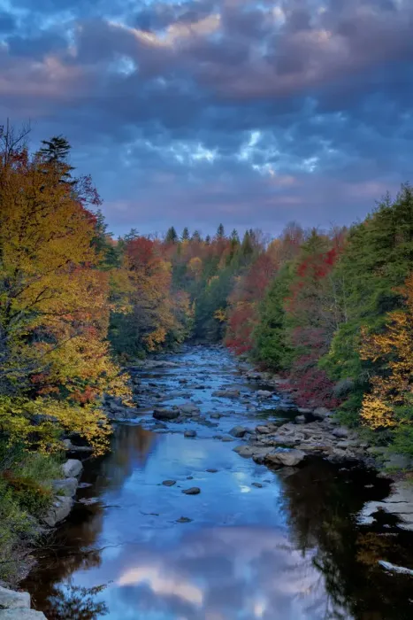 Framed Print : Rocky stream and autumn forest in Blackwater Falls State Park, Tucker County, West Virginia, USA Framed Print : Rocky stream and autumn forest in Blackwater Falls State Park, Tucker County, West Virginia, USA