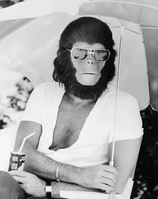 Framed Print : Roddy McDowall in Costume for Planet of the Apes Framed Print : Roddy McDowall in Costume for Planet of the Apes