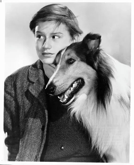 Framed Print : Roddy McDowall In Lassie Come Home Framed Print : Roddy McDowall In Lassie Come Home