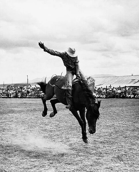 Rodeo cowboy. UNITED STATES - CIRCA 1960s: Rodeo cowboy riding bucking