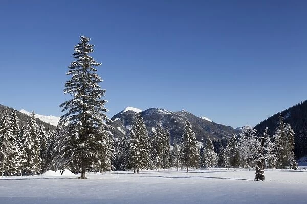 Rohntal avlley in winter, Hinterriss, Tyrol, Austria
