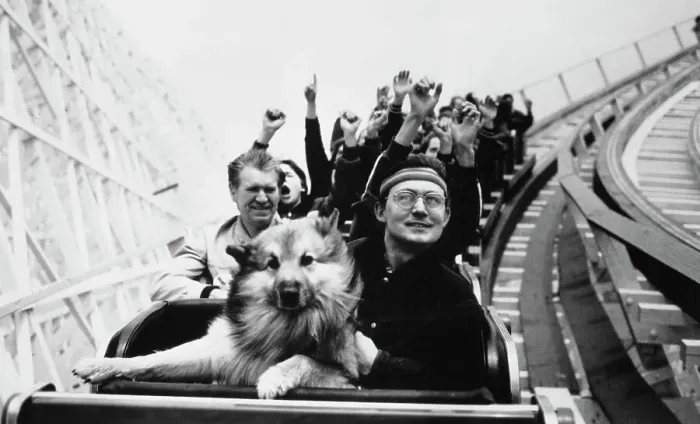 Framed Print : Rollercoaster Dog Framed Print : Rollercoaster Dog