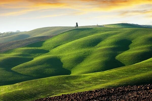 Rolling green hills in Tuscany