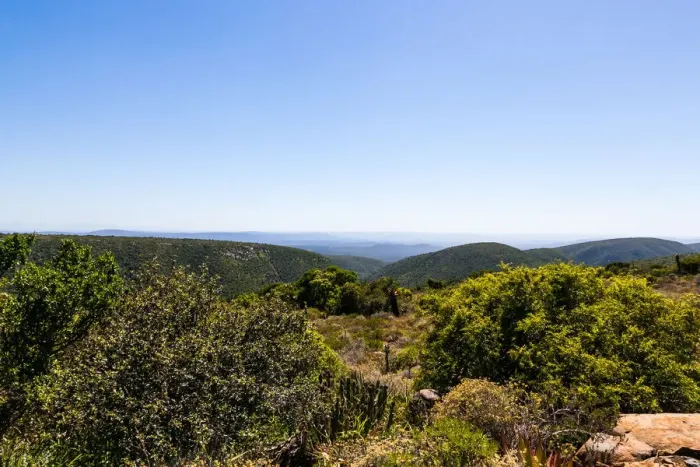 Framed Print : The rolling hills and bush near the fish river valley, which is very close to Grahamstown Framed Print : The rolling hills and bush near the fish river valley, which is very close to Grahamstown