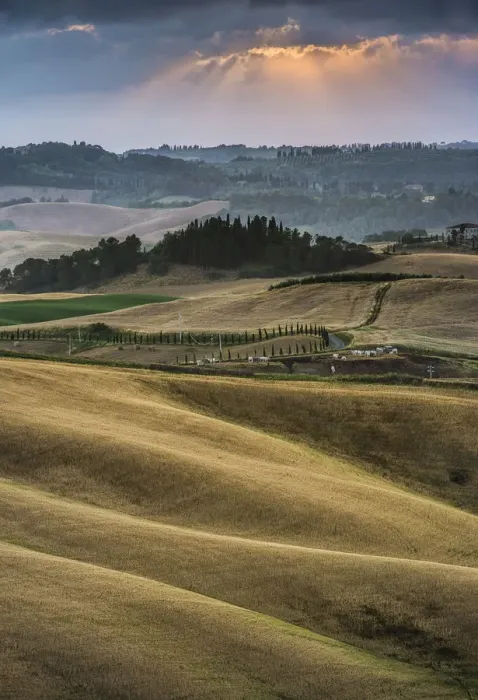 Framed Print : Rolling hills, cornfields at dusk, Villamagna, Tuscany, Italy, Europe Framed Print : Rolling hills, cornfields at dusk, Villamagna, Tuscany, Italy, Europe