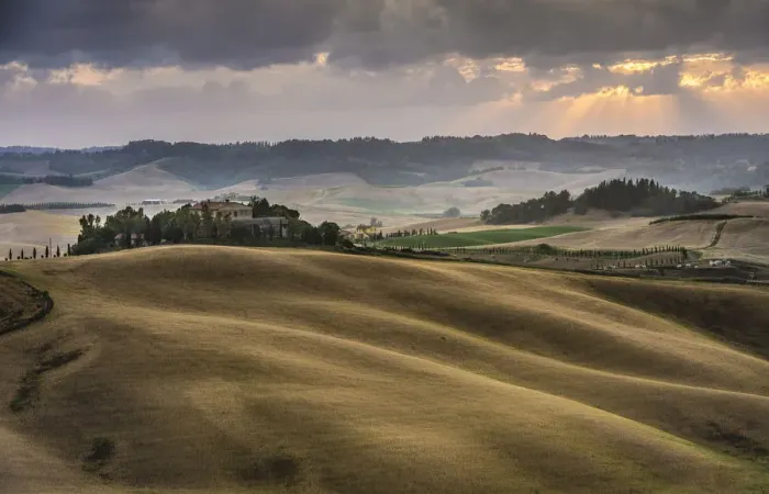 Framed Print : Rolling hills, cornfields at dusk, Villamagna, Tuscany, Italy, Europe Framed Print : Rolling hills, cornfields at dusk, Villamagna, Tuscany, Italy, Europe