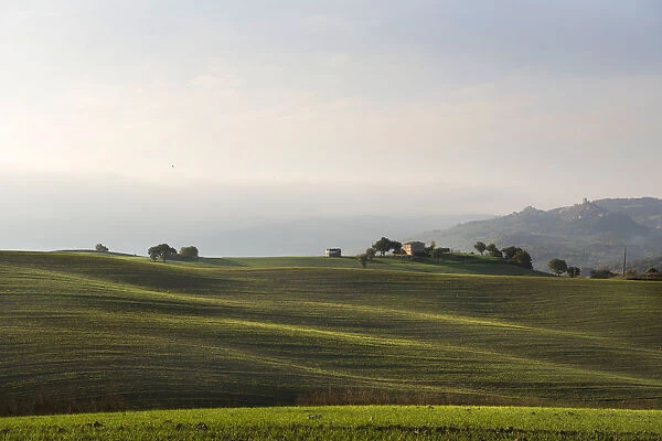 Rolling hills landscape and a farm house of Val d Orcia