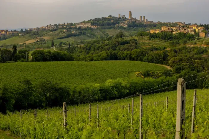 Framed Print : Rolling hills landscape, San Gimignano Skyline, Tuscany, Italy