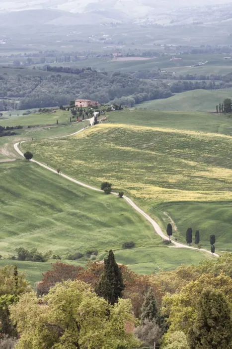 Framed Print : Rolling landscape in Val d Orcia Framed Print : Rolling landscape in Val d Orcia