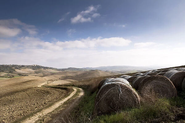 Rolls of bale and winding road in the landscape of Val d Orcia