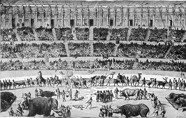 A Roman Circus