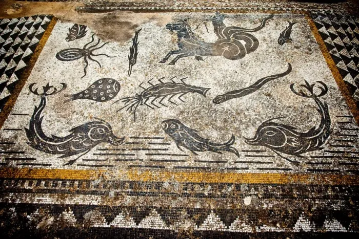 Framed Print : Roman mosaics at Volubilis Framed Print : Roman mosaics at Volubilis