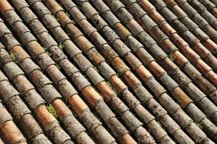 Framed Print : Roman roof tiles, Cathedral of Salamanca, Castile and Leon, Castilla y Leon, Spain, Europe Framed Print : Roman roof tiles, Cathedral of Salamanca, Castile and Leon, Castilla y Leon, Spain, Europe