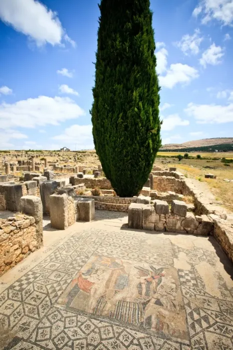 Framed Print : Roman ruins Volubilis Framed Print : Roman ruins Volubilis